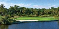 Getting To Know: Palmetto Dunes Golf Course - Arthur Hills Course
