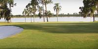 Citrus Golf Trail Golf Vacation Review