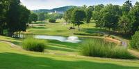 Getting To Know: The Pointe at Pointe Royale Golf Village