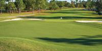 Rio Pinar is hanging on to its tournament history