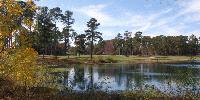 SANTEE, SC: From Cotton Fields to Fairways 