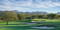 Things To Do in Spring Training - Phoenix Area