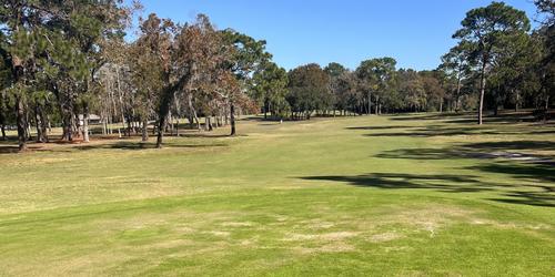 Links Golf Buys Sugarmill Woods Country Club & Southern Woods Golf Club