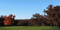 Swing into Swope