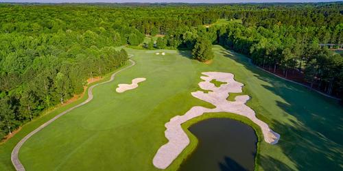 The Frog Golf Club Review