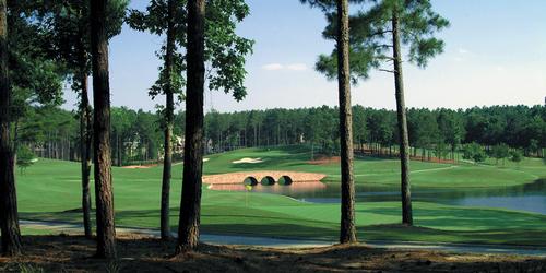 Master Your Golf Game in Thoroughbred Country