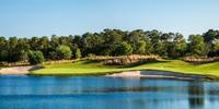 Golfin' on the Grand Strand