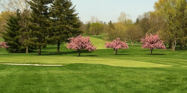 Otter Creek