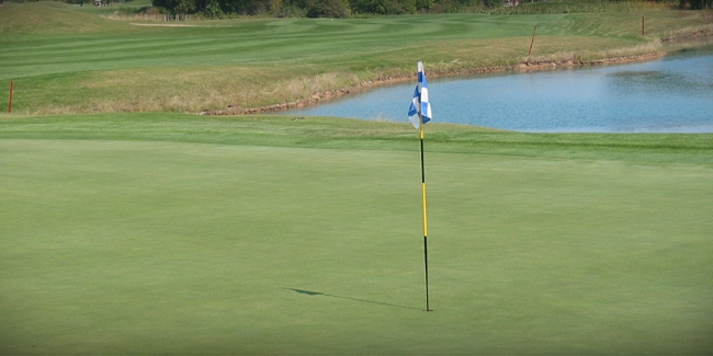 Golf Course Overview: Rolling Meadows GC