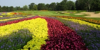 The Flower Hole - Sentry World