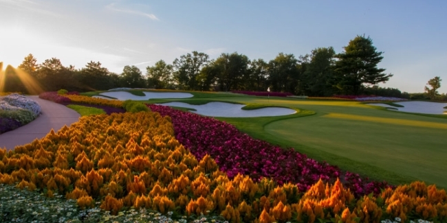 The Famous Flower Hole