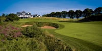 Nothing Tame About The Bull at Pinehurst Farms