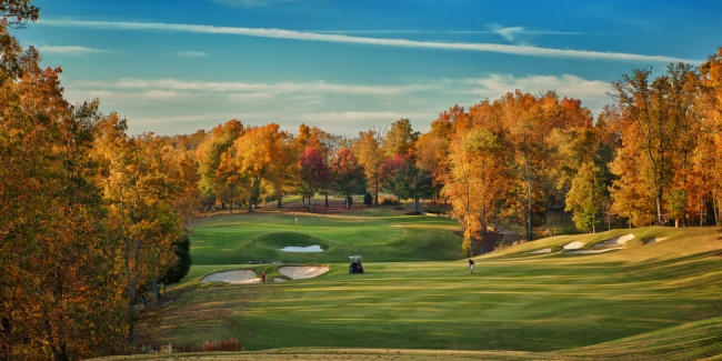 The Ledges 