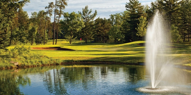 The Pines