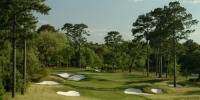 True Blue Plantation Overivew