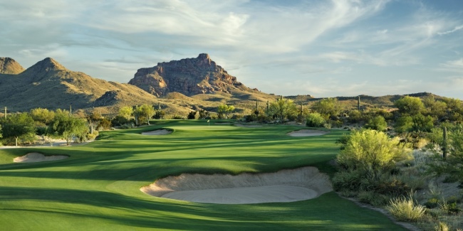 We-Ko-Pa Saguaro #8
