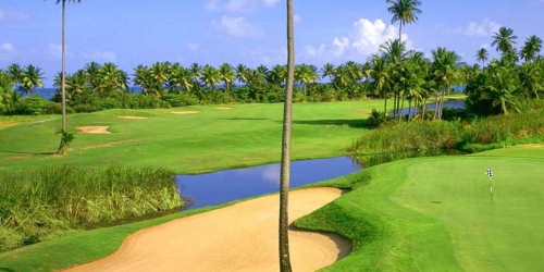 Palmas Del Mar Country Club Flamboyan