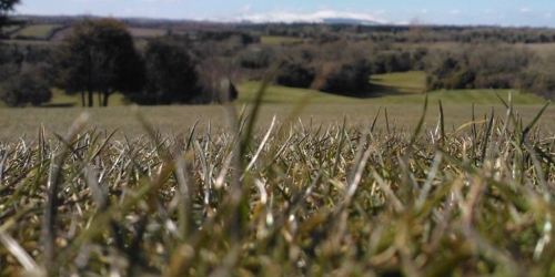 Crossgar Golf Club