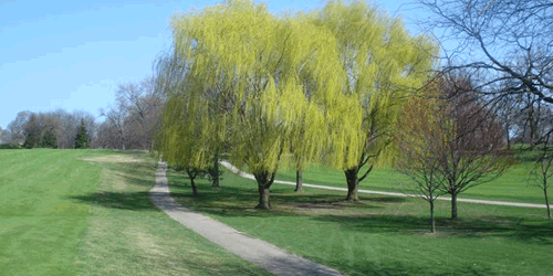 Itasca Country Club