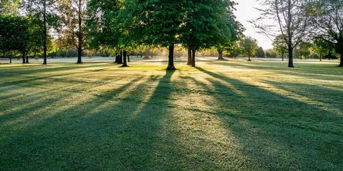 Beech Park Golf Club