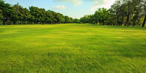 Columbus Park Golf Course
