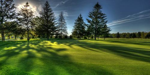 Deerfield Country Club - Emerald / Witch