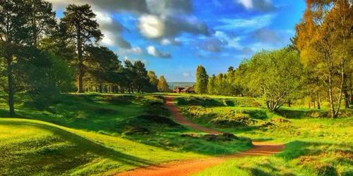 Ladybank Golf Club