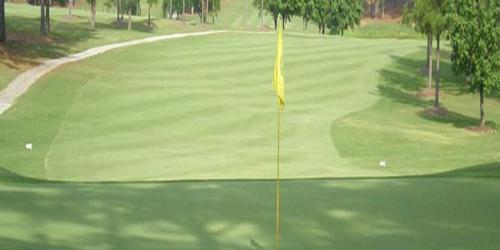 The Golf Course at Star Fort