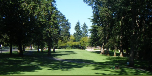 Summerfield Golf & Country Club