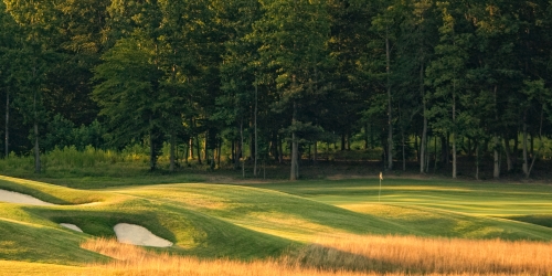 The Club at Viniterra