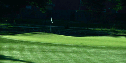 Zigfield Troy Par 3