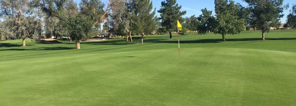 Apache Sun Golf Club