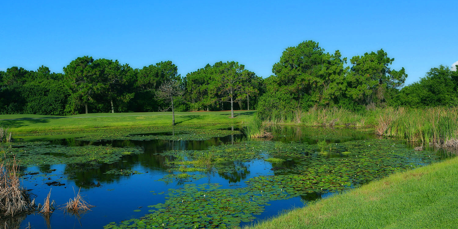 Rotonda Golf - Long Marsh Golf Club