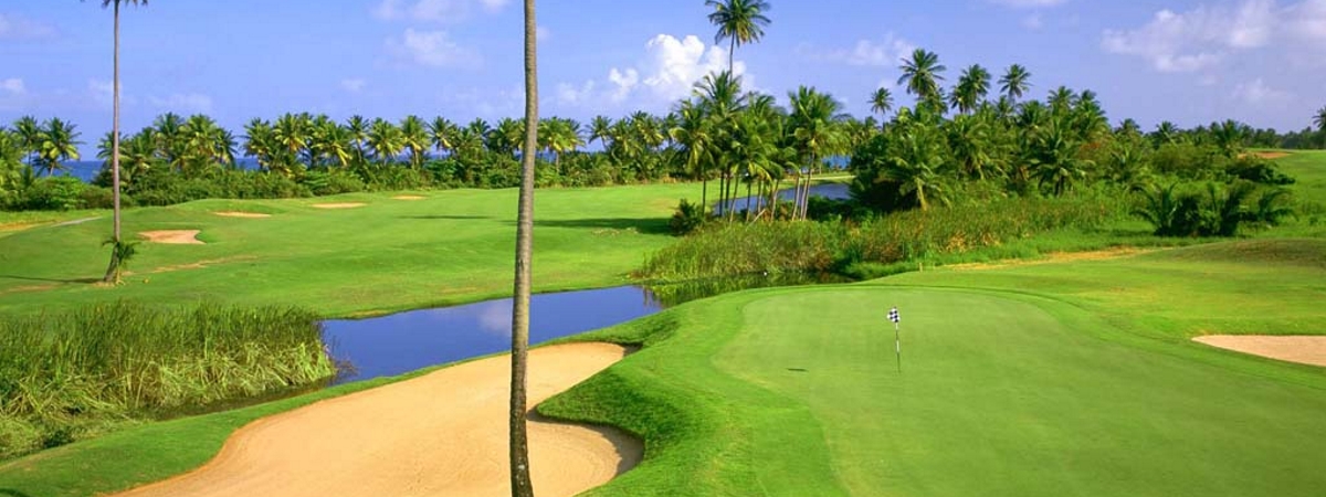 Palmas Del Mar Country Club Flamboyan