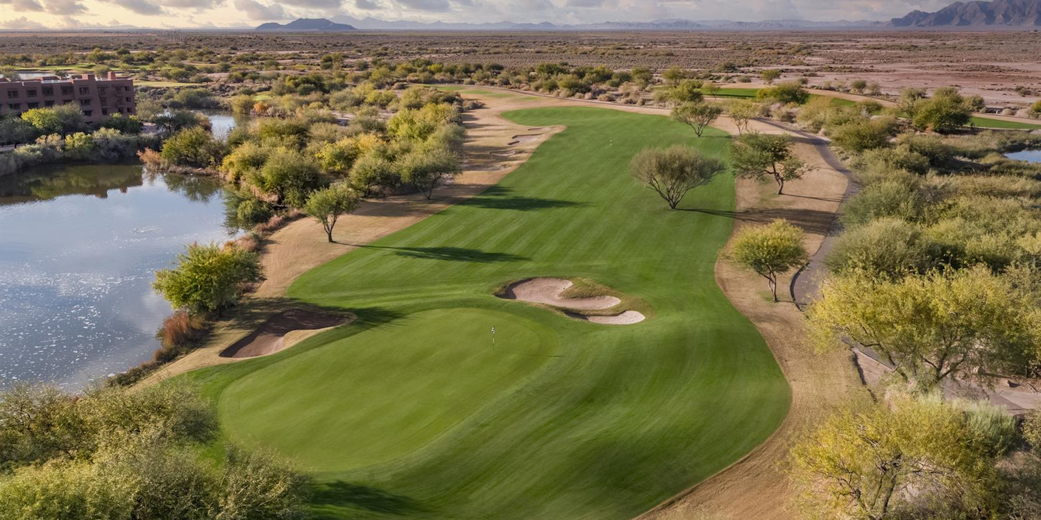 Whirlwind Golf Club - Cattail