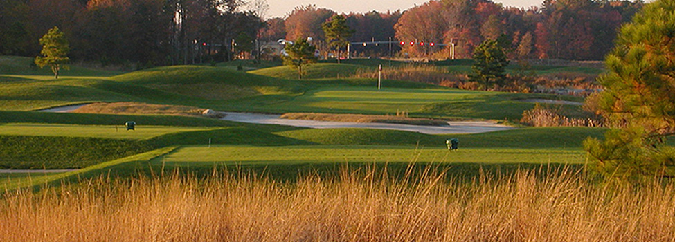 Cahoon Plantation