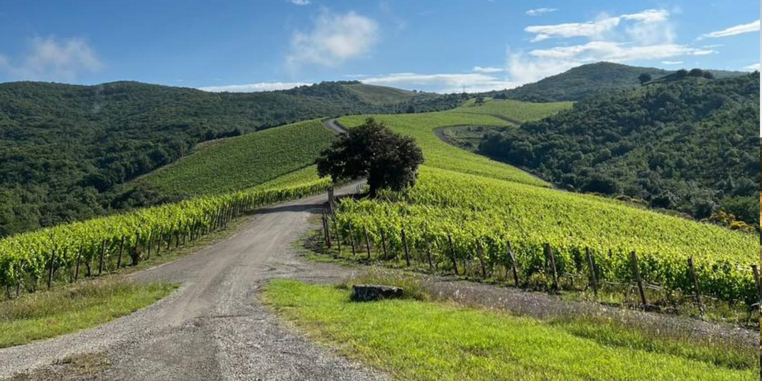 Castiglion del Bosco Golf Club 