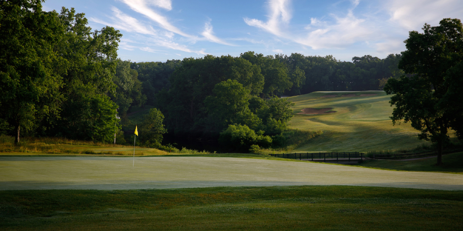 Cog Hill No. 2 - Ravines