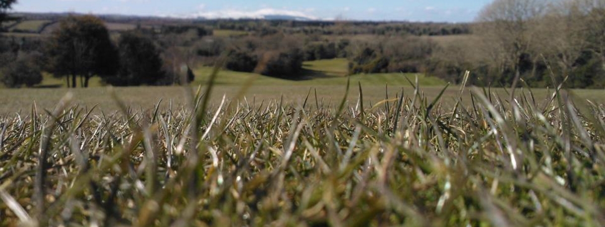 Crossgar Golf Club