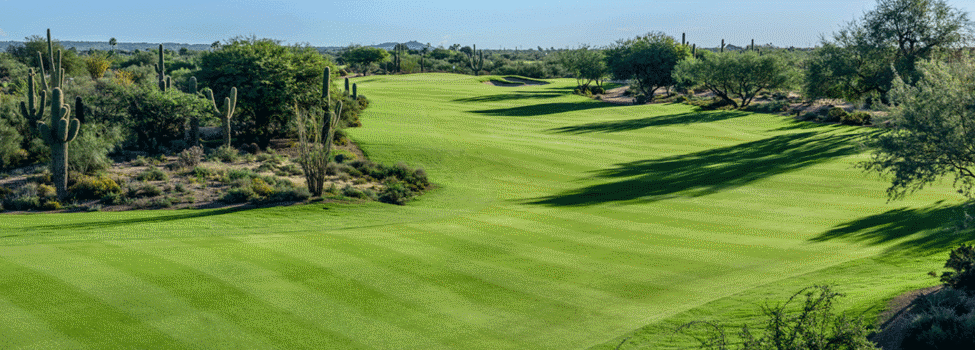 Desert Forest Golf Club