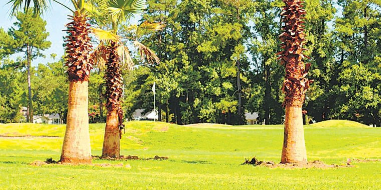 The Palms Course at Oakdale
