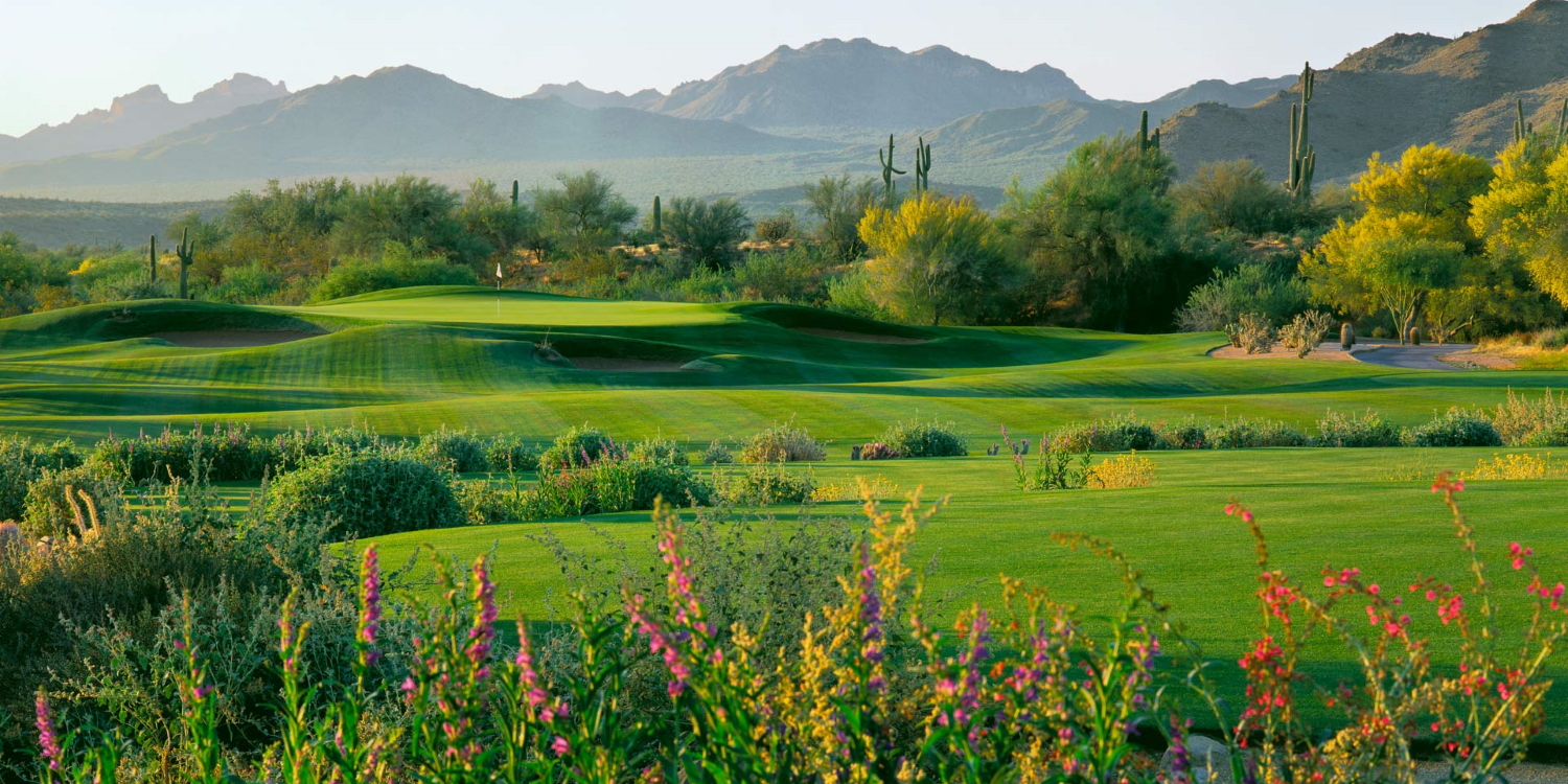 We-Ko-Pa Golf Club - Cholla