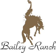 Bailey Ranch Golf Club Logo