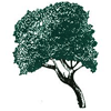 Beachwood Golf Course Logo