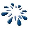 Boca Pointe Country Club Logo