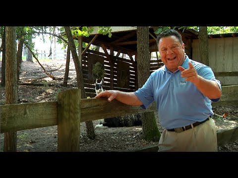 The Traveling Golfer shows you The Other Pinehurst