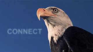 Connect With America in Fairfax County, Virginia