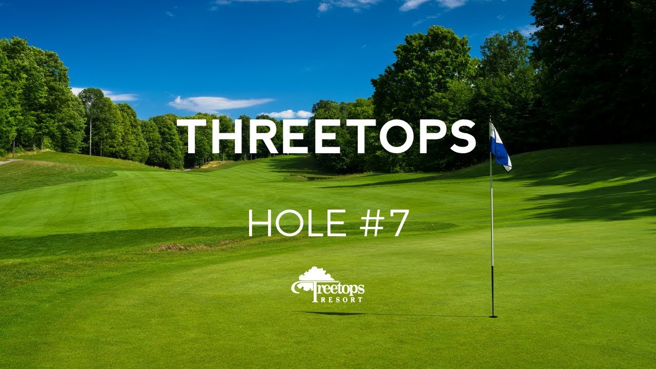 Treetops Resort Threetops 7