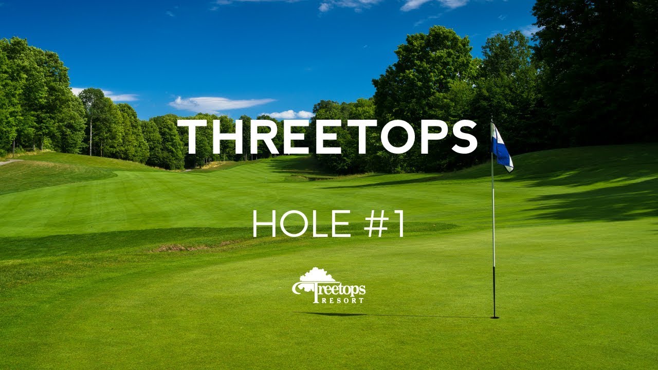 Treetops Resort Threetops 1
