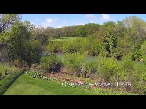 Canal Shores From Above